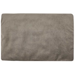 Pillow 40x60 cm LION/BEIGE