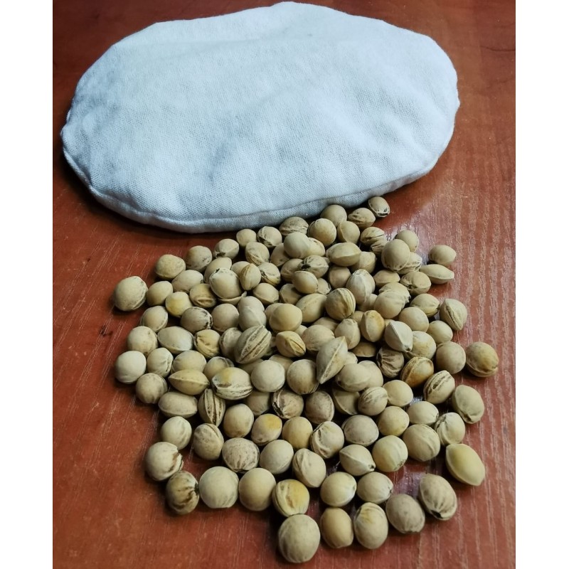 Cherry kernel thermofor 15 x 15 cm GARDENER BEAR Cherry kernel thermofor 15 x 15 cm GARDENER BEAR