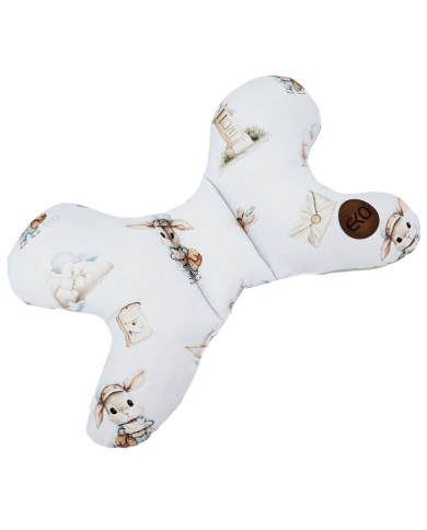Butterfly pillow POSTMAN