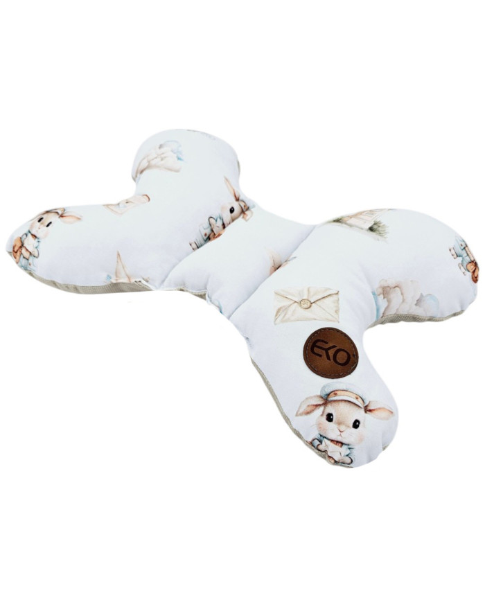 Butterfly pillow POSTMAN