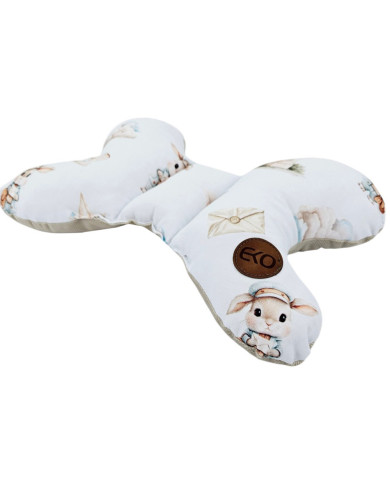 Butterfly pillow POSTMAN