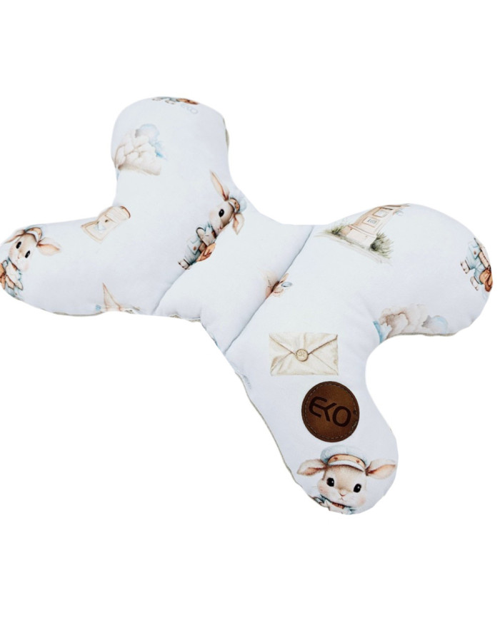 Butterfly pillow POSTMAN