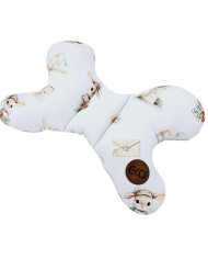 Butterfly pillow POSTMAN