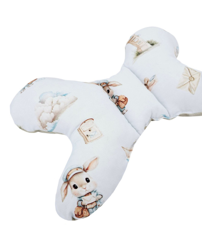 Butterfly pillow POSTMAN